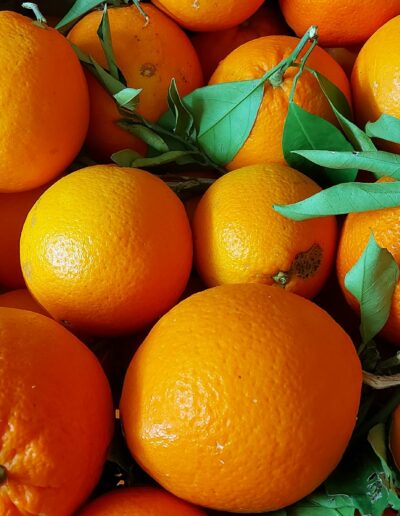 Epicerie Fruit et légume Marmande sainte Bazeille