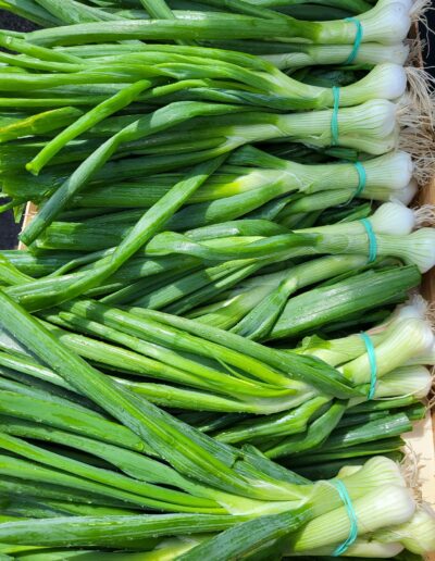 Epicerie Fruit et légume Marmande sainte Bazeille