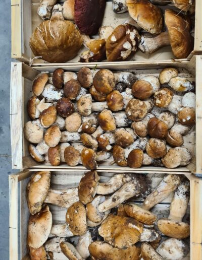 Epicerie Fruit et légume Marmande sainte Bazeille